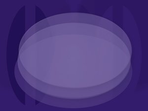 数据同步加速使用技巧：网络优化与并行处理